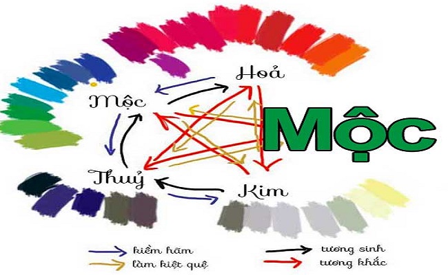 thiet ke logo theo phong thuy menh moc